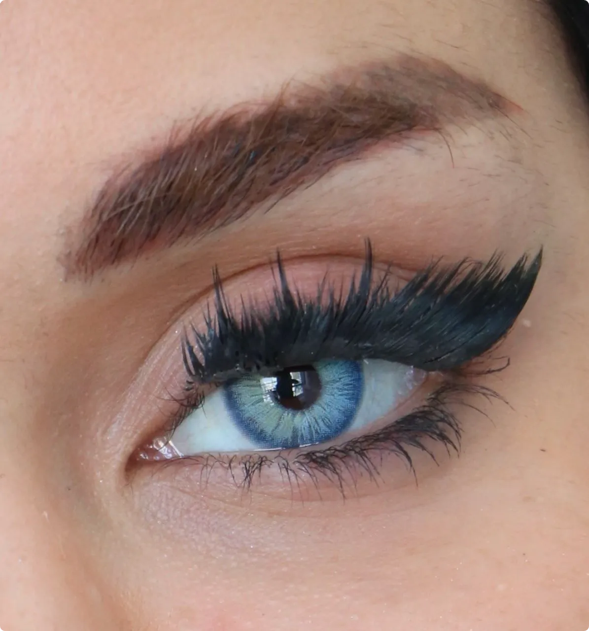 لنز آی شر نیکوزیا بلو Eye Share Nicosia Blue